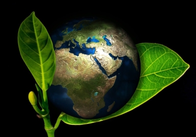 Benefits of Running a Greener Business 
