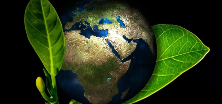 Benefits of Running a Greener Business 