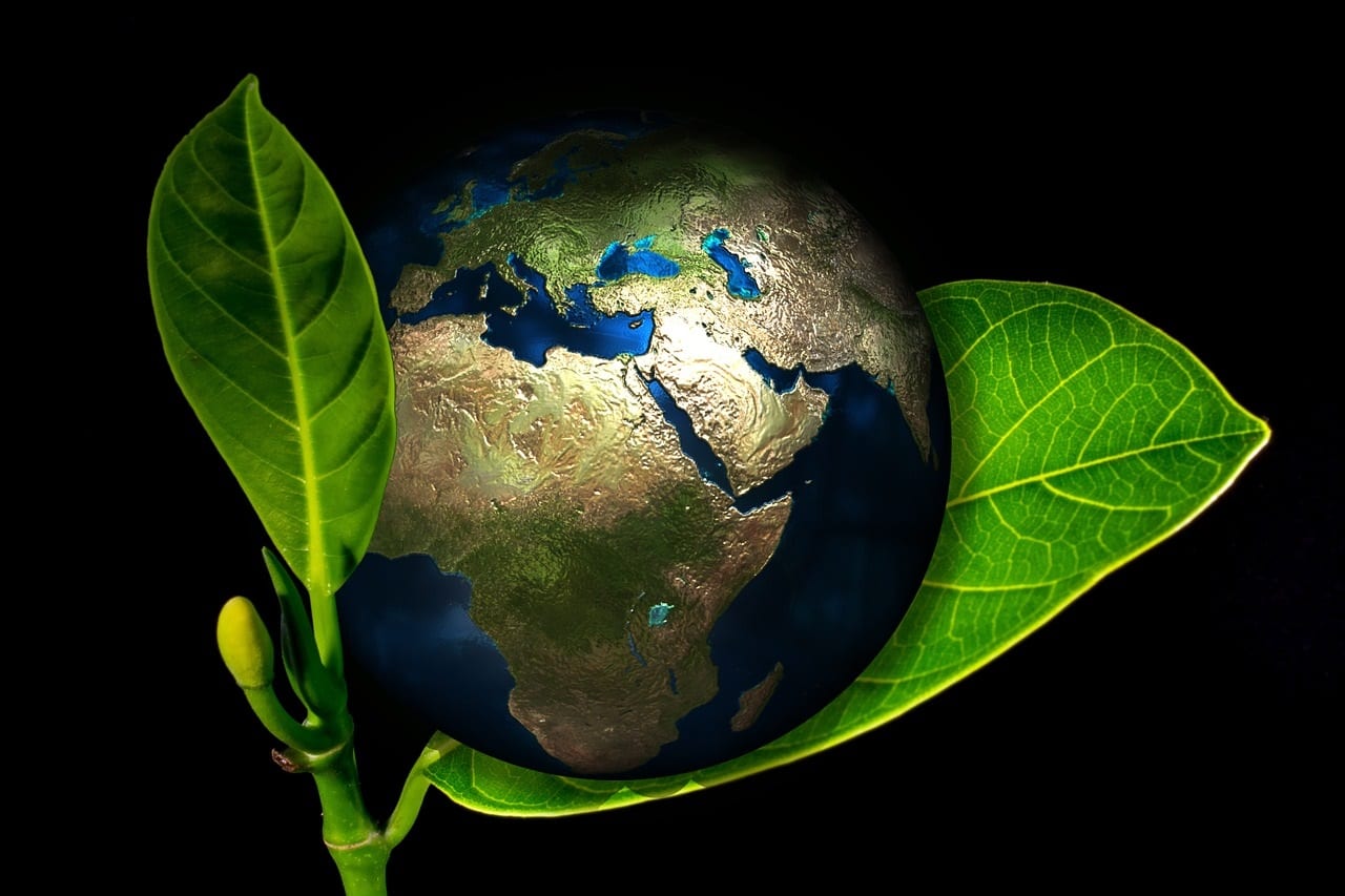 Benefits of Running a Greener Business 